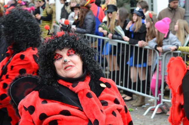 umzug simmern_140301_vb_159